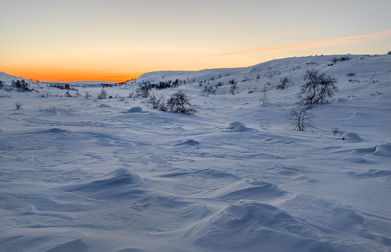 ...январьphoto preview