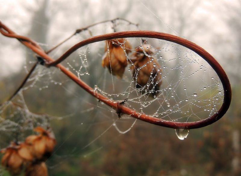 Осеньphoto preview