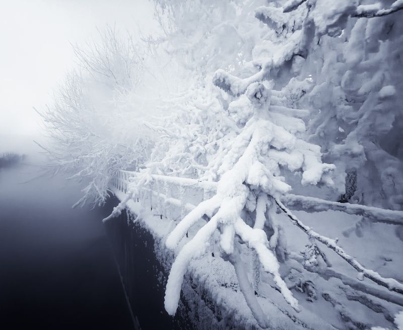 зима, пейзаж, мороз, деревья Раскинув ледяные ветви-крыльяphoto preview