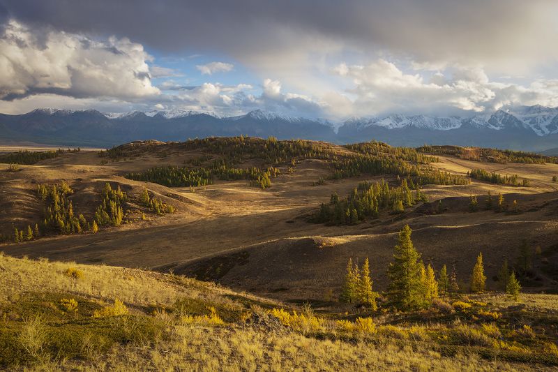 осень, горный алтай, пейзаж, природа, горы, свет, Осень.photo preview