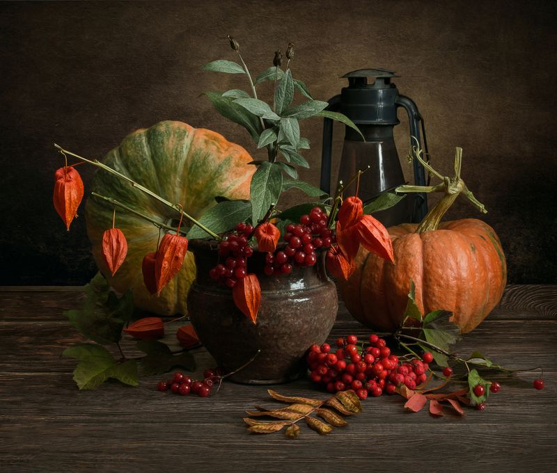 Физалисphoto preview