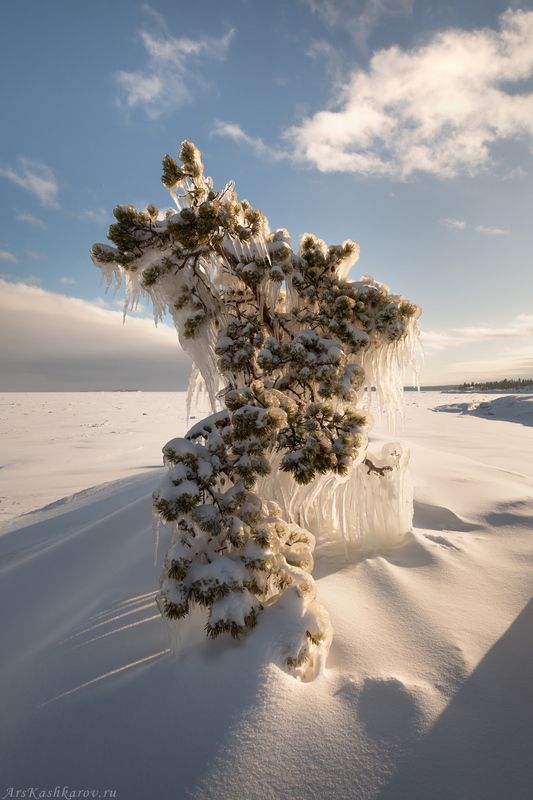 карелия, зимняя ладога, ладожское озеро, мороз, лед, острова зимой, фототуры зимой, шхеры, сосульки \