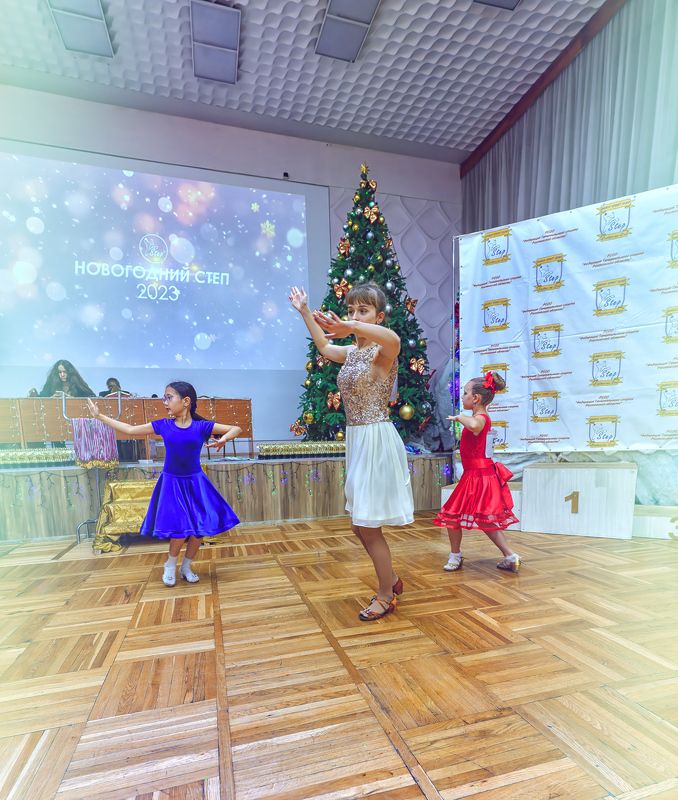 новогодний степphoto preview