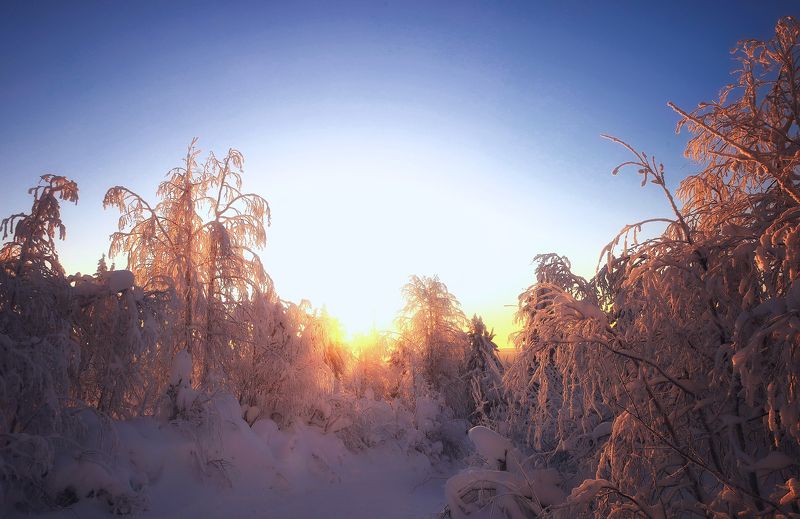 На Урале новогоднемphoto preview