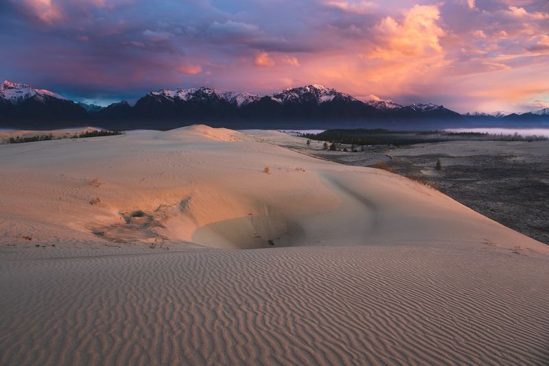 горы, пустыня, песок, барханы, дюна, чарскиепески, лес, рассвет, туман, mountains, desert, sand, dune, forest, dawn, fog Око пустыниphoto preview