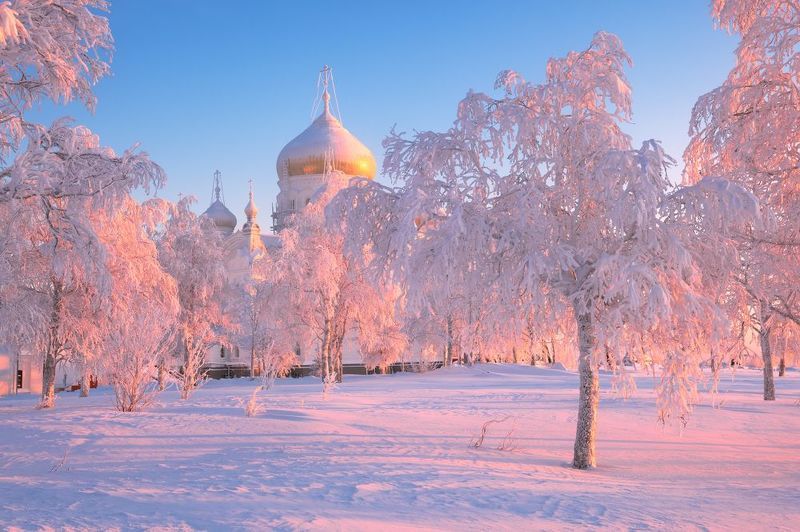 С Рождеством! фото превью