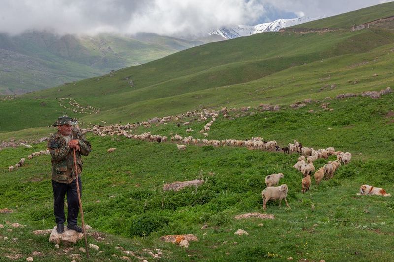 ЮжДагphoto preview