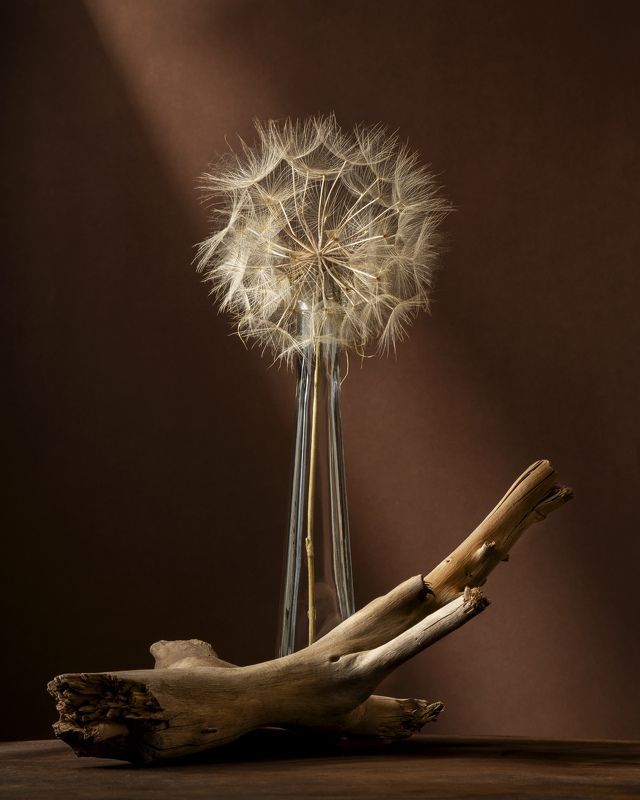 art, design, objects, light, standing, studio, still life,  photo preview