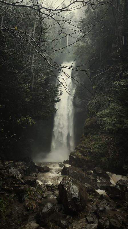 пейзаж, природа, водопад, Абхазия, вода, landscape, wood, forest, waterfall, water, nature Witch Woodphoto preview