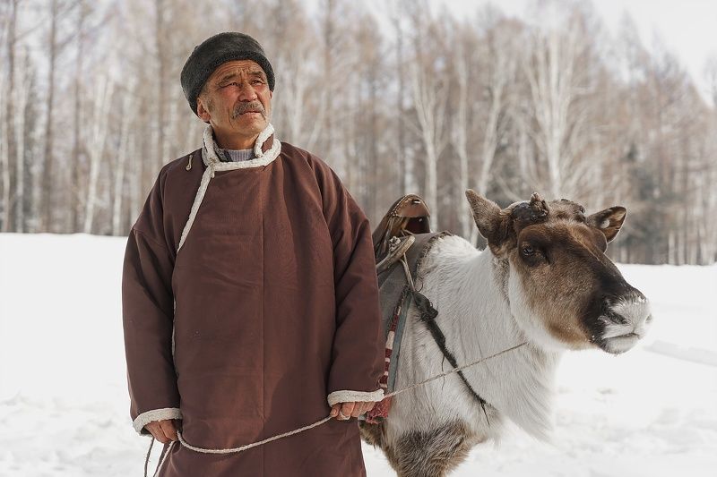 портрет, работа, процесс, деньоленевода, тоджа, тува, оленевод, нерозя Тоджинский оленеводphoto preview