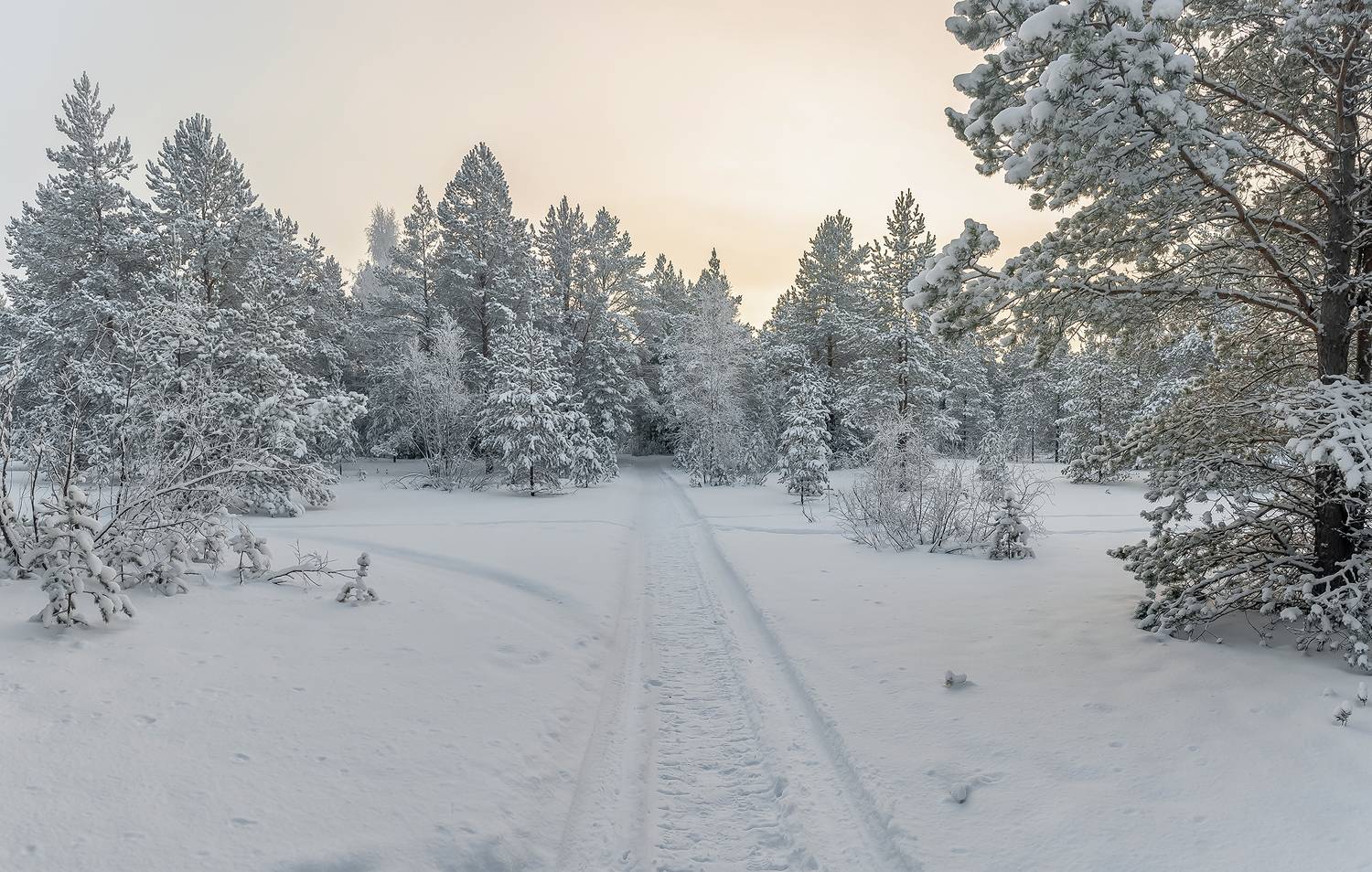 Январский день.. Автор: Анкудинов Леонид зима, дорога, лес, снег, холод, Анкудинов Леонид
