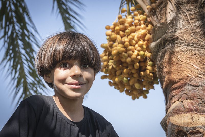 iraq iraqi photo preview