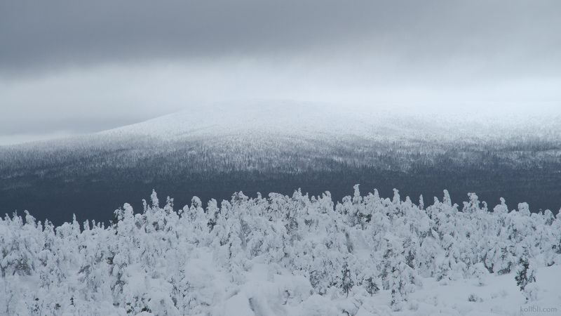 север, кандалакша, кольский полуостров, мурманская область, зима, снег Оттенки севераphoto preview