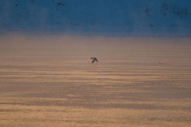 Закат на Ангареphoto preview