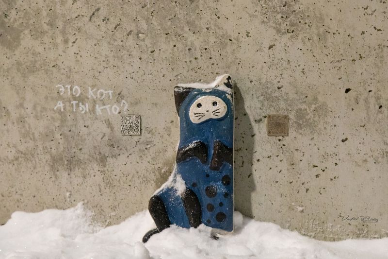 Рождество, Зеленоградск,Россия, курорт, зима, улица, фотография, ночь, Свирин Вадим, город, Christmas, Zelenogradsk, Russia, resort, winter, street, photography, night, Vadim Svirin, city «Зеленоградский кот»photo preview