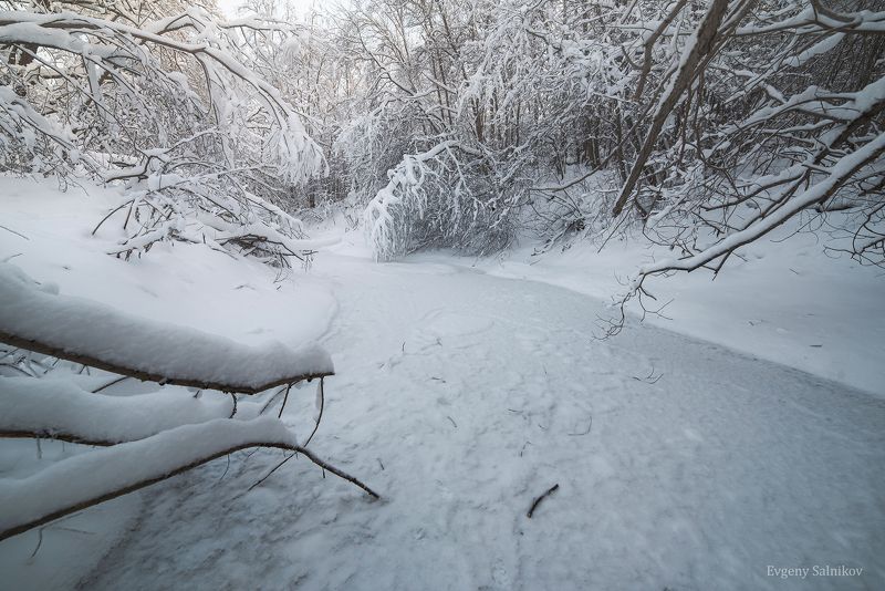 пейзаж зима лёд замерзшая река снег деревья В мороз по замёрзшей реке Рыкуше фото превью