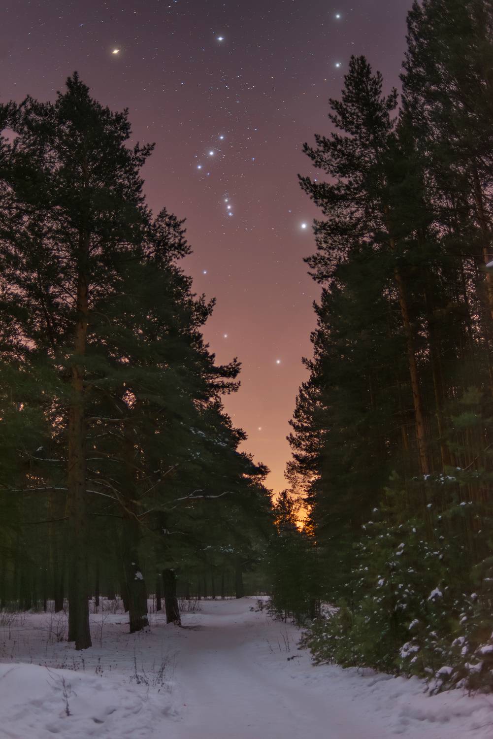 орион, сибирь, ночь, красноярский край, хакасия, сосны, звезды, night, siberia, stars, orion, starry night, Кудашкина Ксения