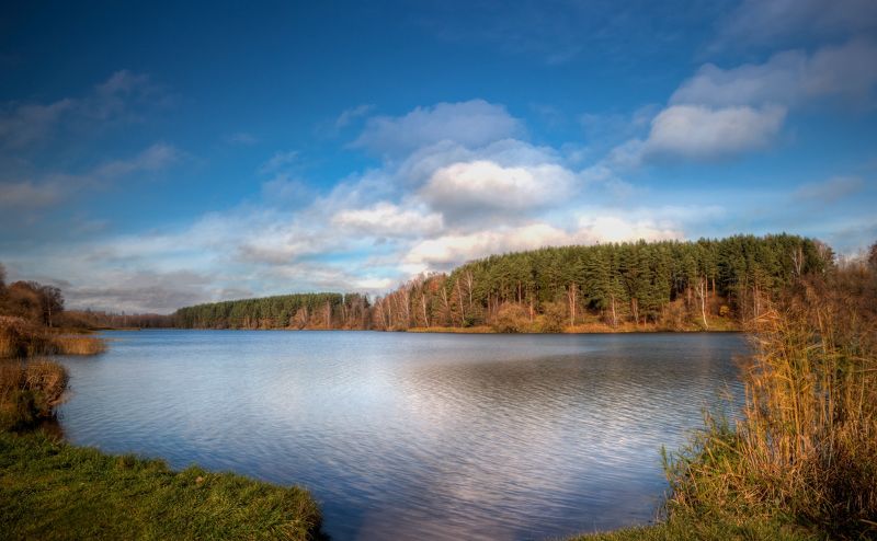 осень, озеро, небо, На берегу озераphoto preview