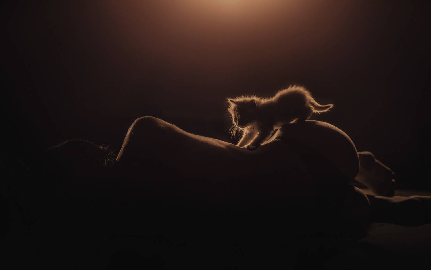 , Евгений Иванов