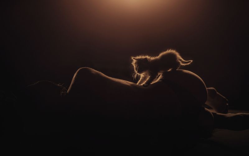 свет и тениphoto preview