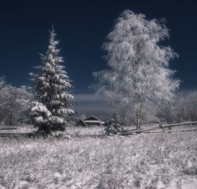 Декабрь в лунном светеphoto preview