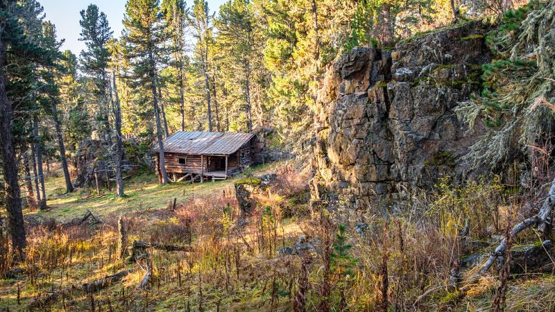 пейзаж, осень, лес, Горный Алтай В лесной чаще photo preview