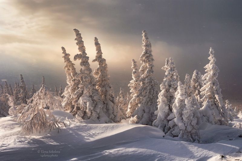 уреньга, хребет, горы, зима, пейзаж, снег, лес На хребте Уреньгаphoto preview