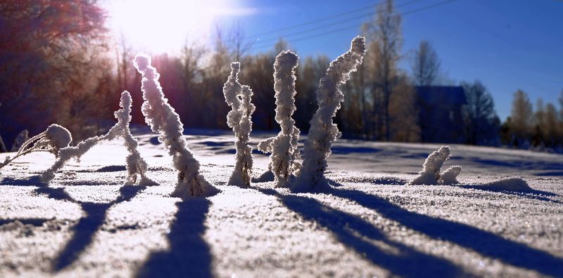 Зимний этюд.photo preview