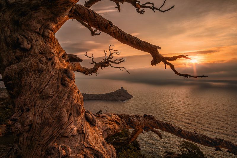 Рассвет у мыса Капчикphoto preview