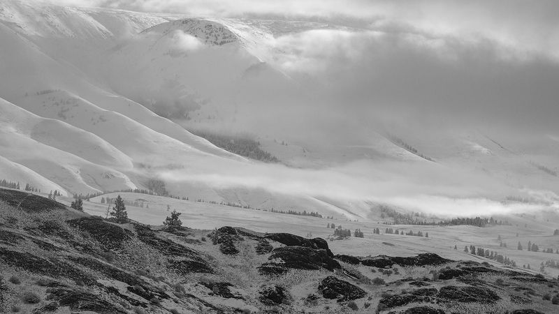черно-белое, пейзаж, горный алтай, россия, ***photo preview