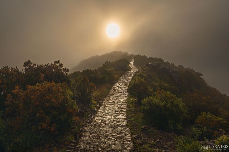 Дорога солнцаphoto preview