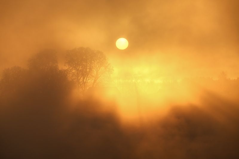 К солнцу...photo preview