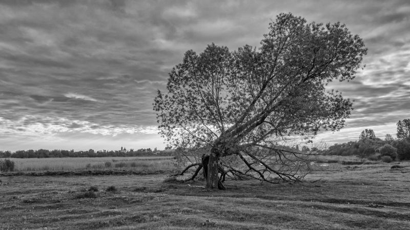 Дозорный рубежей фото превью