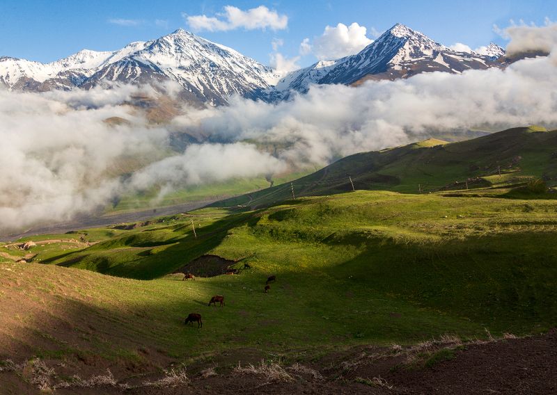 Курушphoto preview