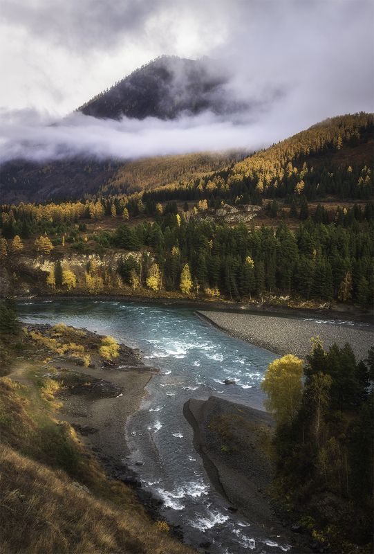 алтай, горный алтай, пейзажи алтая, онгудайский район, горная река, золотая осень, горы, осенний алтай, горная тайга, катунь На стрелке рекphoto preview