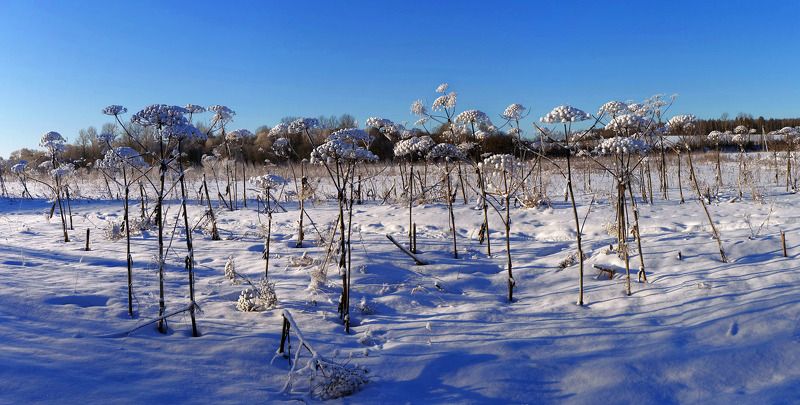 Зимнии фантазии.photo preview