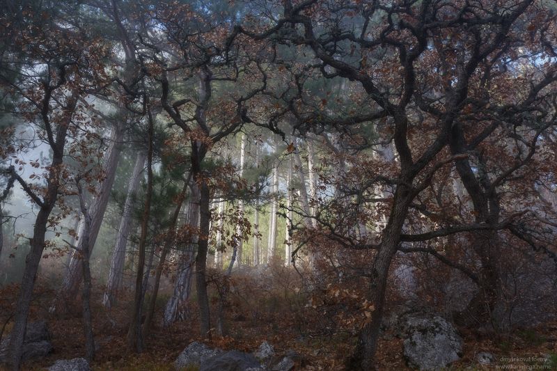 пейзажемагьё, пейзаж-как-виденье The Temple_Храм фото превью