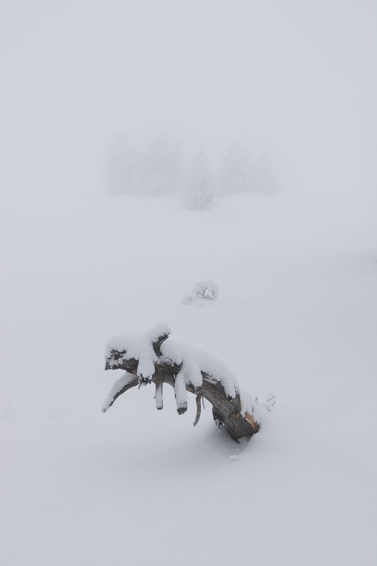 winter, snow, mountain, fog, white, minimalistic, tree Одинphoto preview