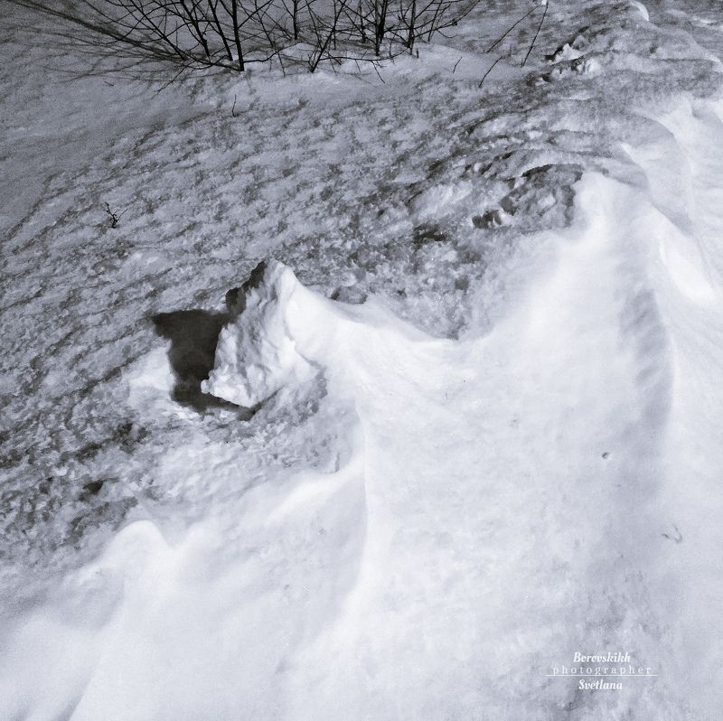 пейзаж, природа, снег, чб_фото, в_стиле_кенна В снежном пленуphoto preview