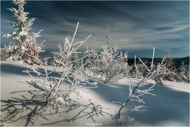 polska, zima ***photo preview