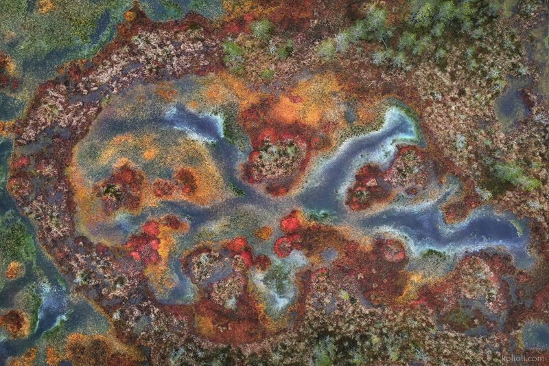 интимный пейзаж, intimate landscape, ленинградская область Intimate landscapephoto preview