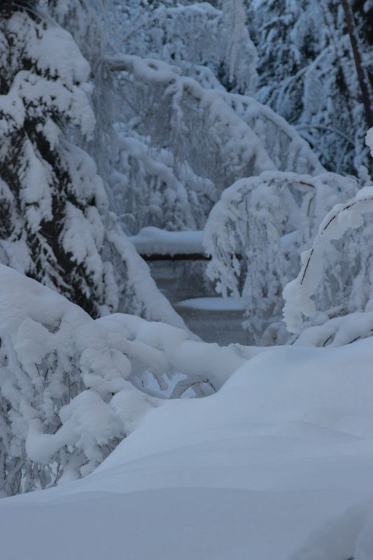 зима снег река лес лед сугроб Спящая речкаphoto preview