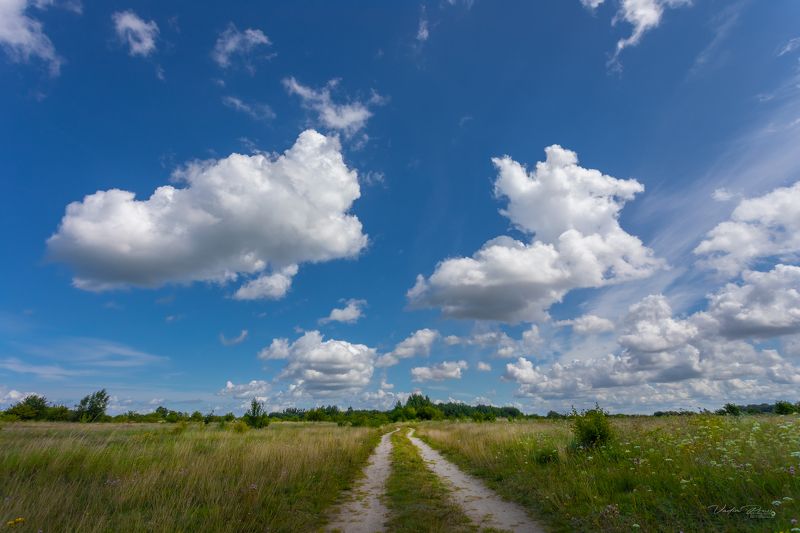 поле, природа, пейзаж, Россия, Пруссия, небо, лето, фотография, дорога, позитив, Свирин Вадим, Мамоново, field, nature, landscape, Russia, Prussia, sky, summer, photography, road, positive, Vadim Svirin, Mamonovo Поля Пруссииphoto preview