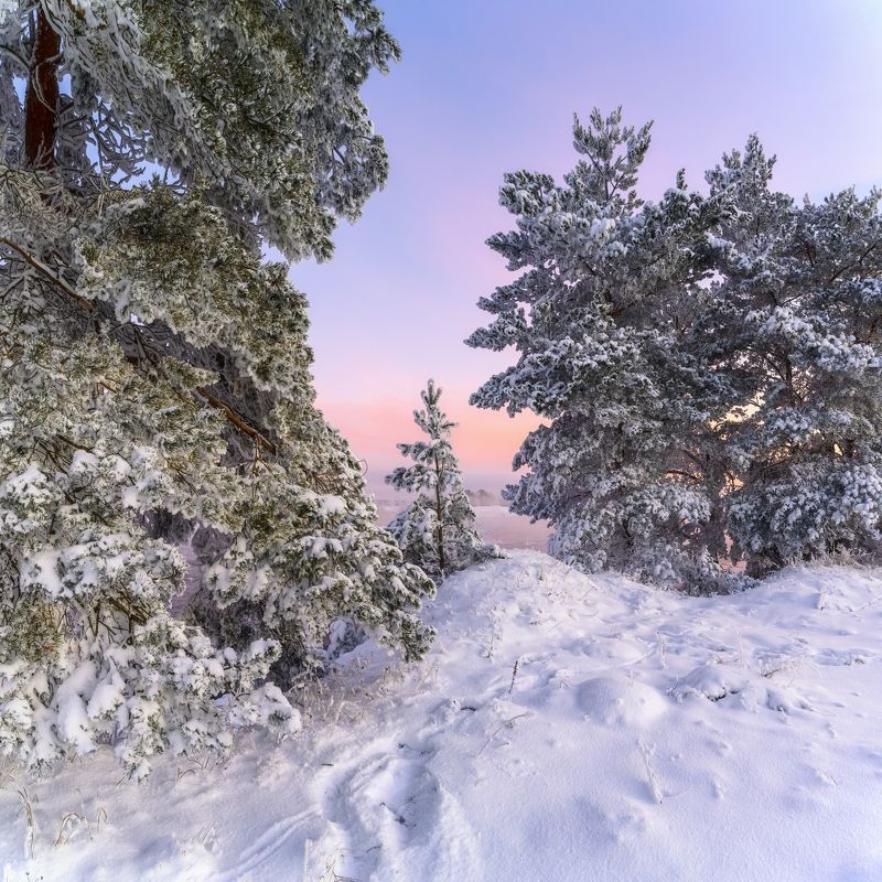 На зареphoto preview