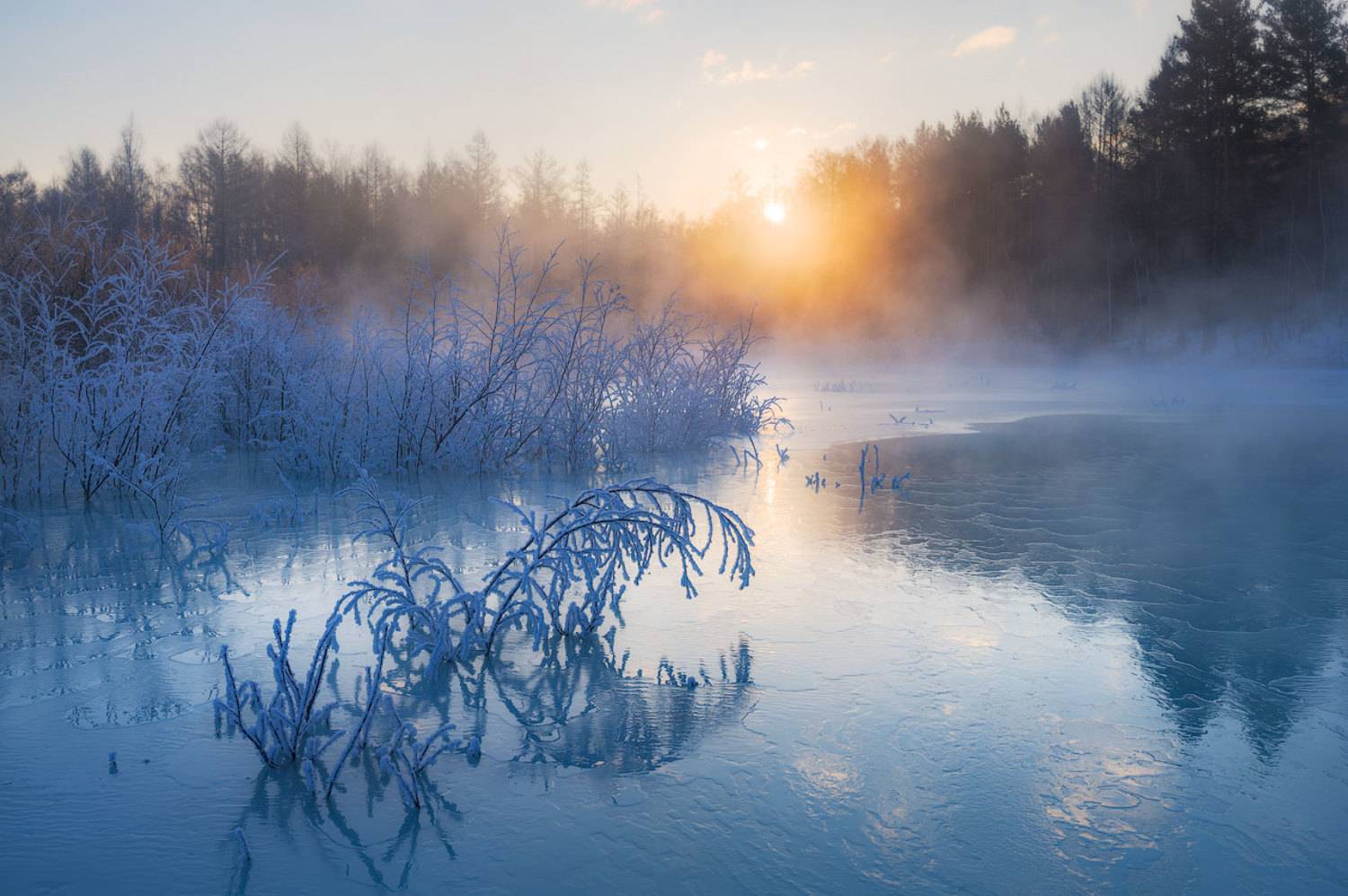, Сергей Брагин