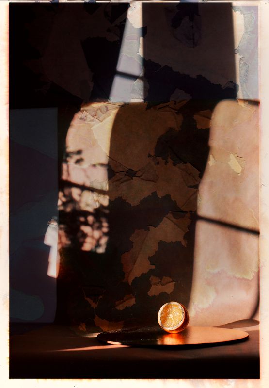 лимон Натюрморт с лимономphoto preview