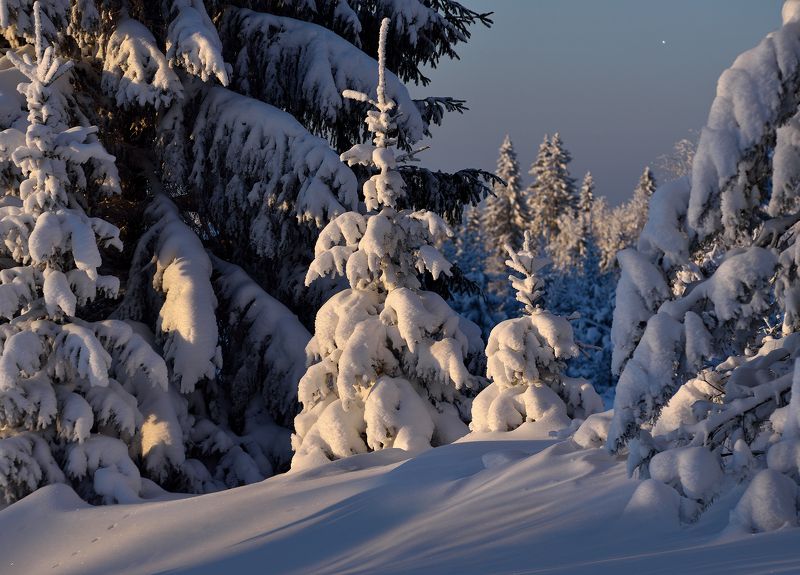 Зимняя Удмуртия фото превью