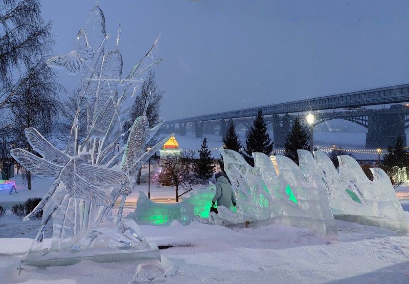 ледовая скульптура,новосибирск,новый год,зима Нежная бабочка и стрекоза на камышахphoto preview