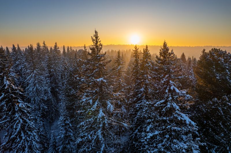 sunset, winter, trees Pick the topphoto preview
