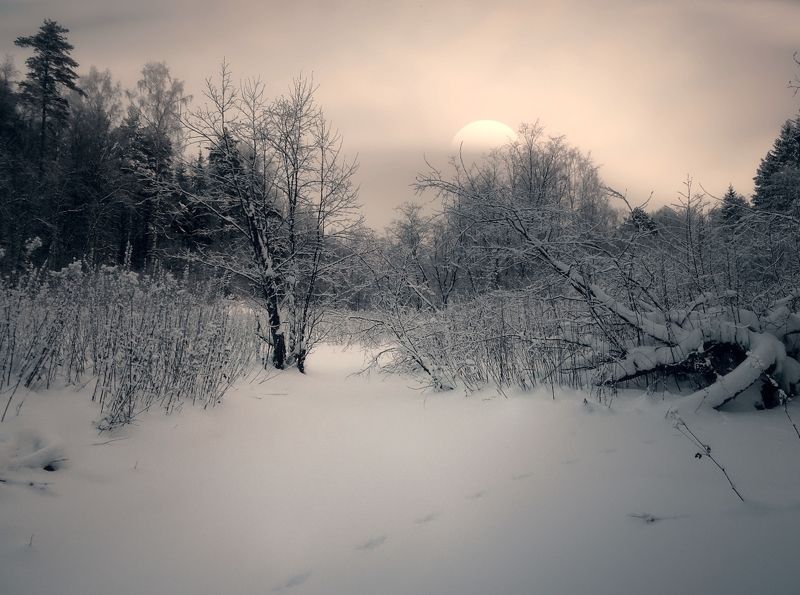 пейзаж, зима, лес, солнце, небо, облака Утроphoto preview